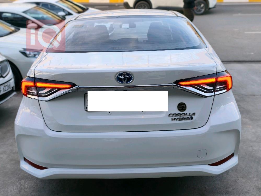 تويوتا كورولا